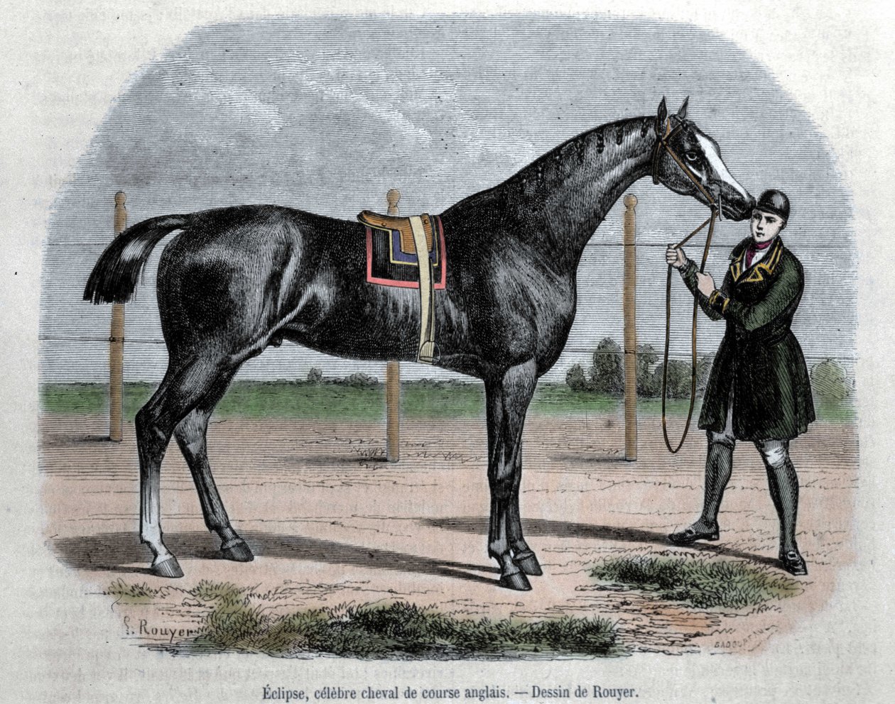 El caballo de carreras inglés Eclipse. Ilustración de Rouyer de L. (after) Rouyer