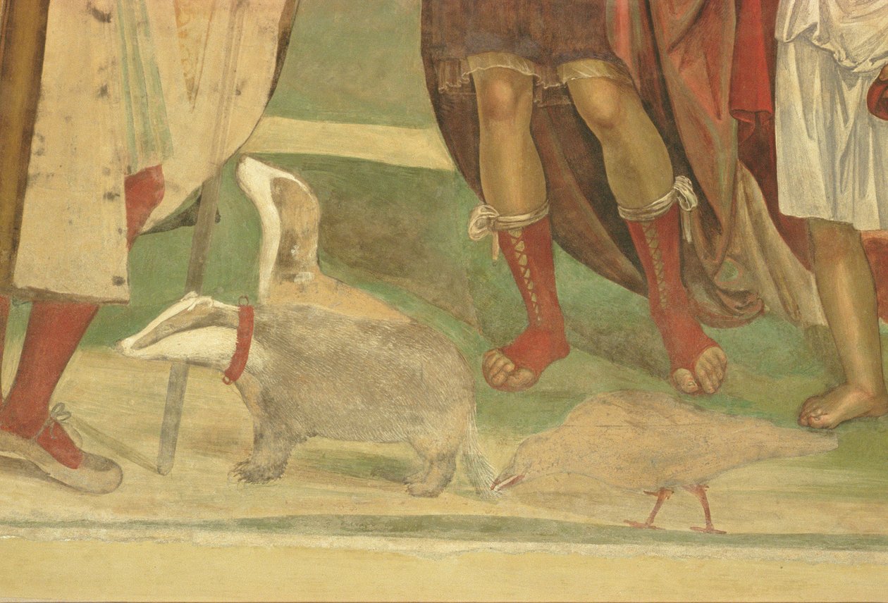 La vida de San Benito (detalle) de L. and Sodoma, G. Signorelli