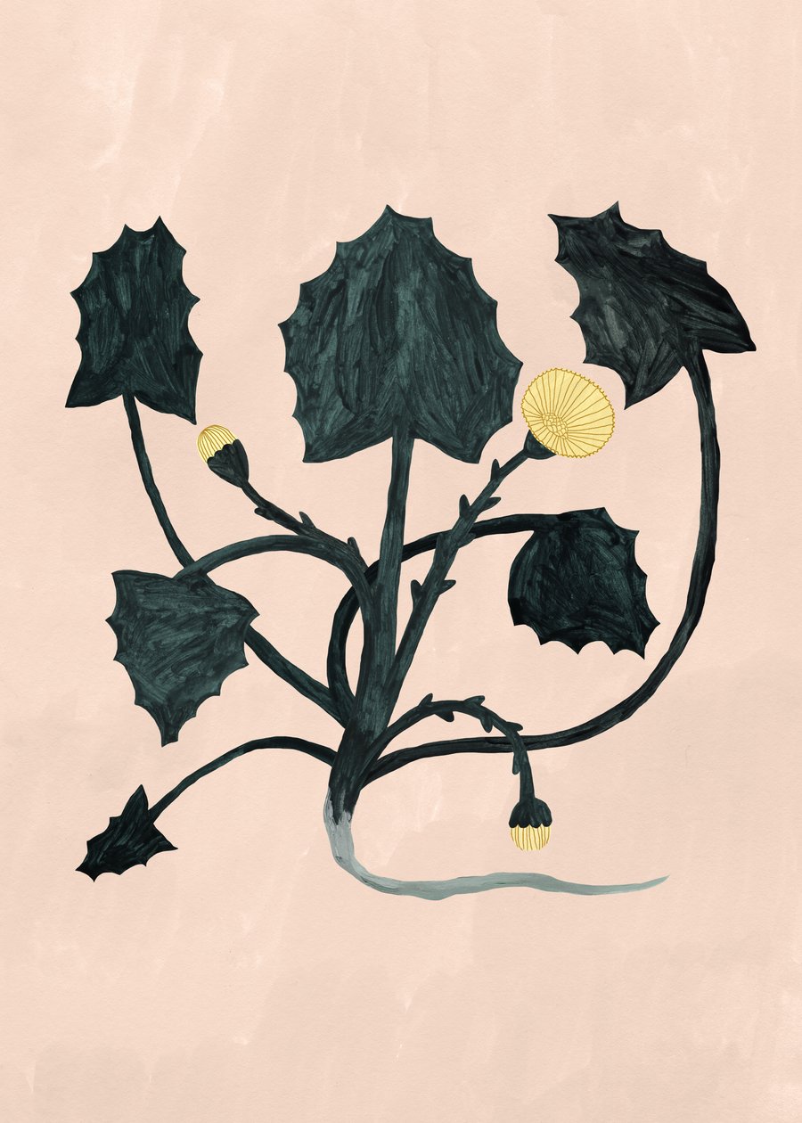 Planta desconocida, 2018 de Léa Le Pivert
