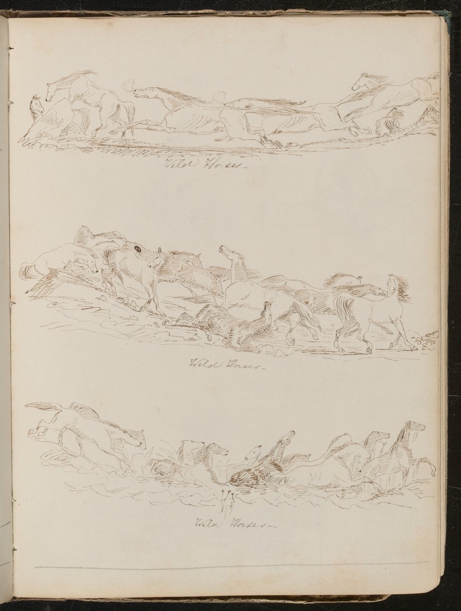 Tres estudios de caballos galopando libremente de Lady Butler