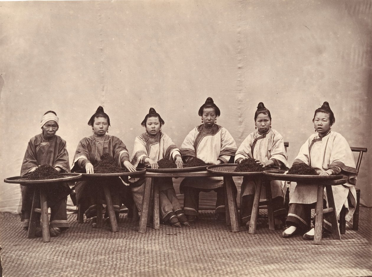 Recolección de Té, ca. 1869 de Lai Fong.