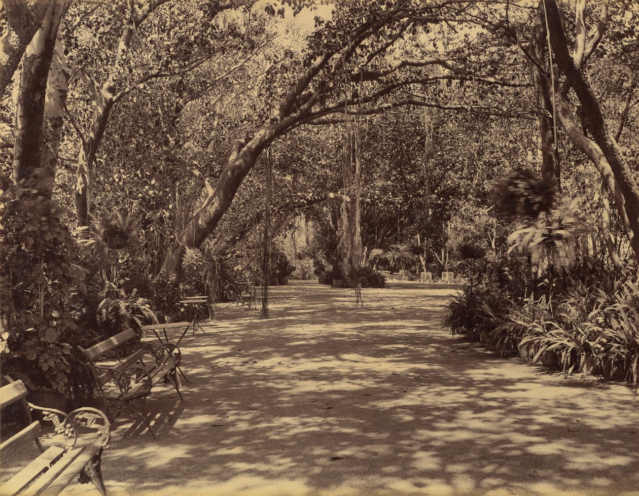 Jardín del Palacio Sookh-Vilas, 1880-90 de Lala Deen Dayal