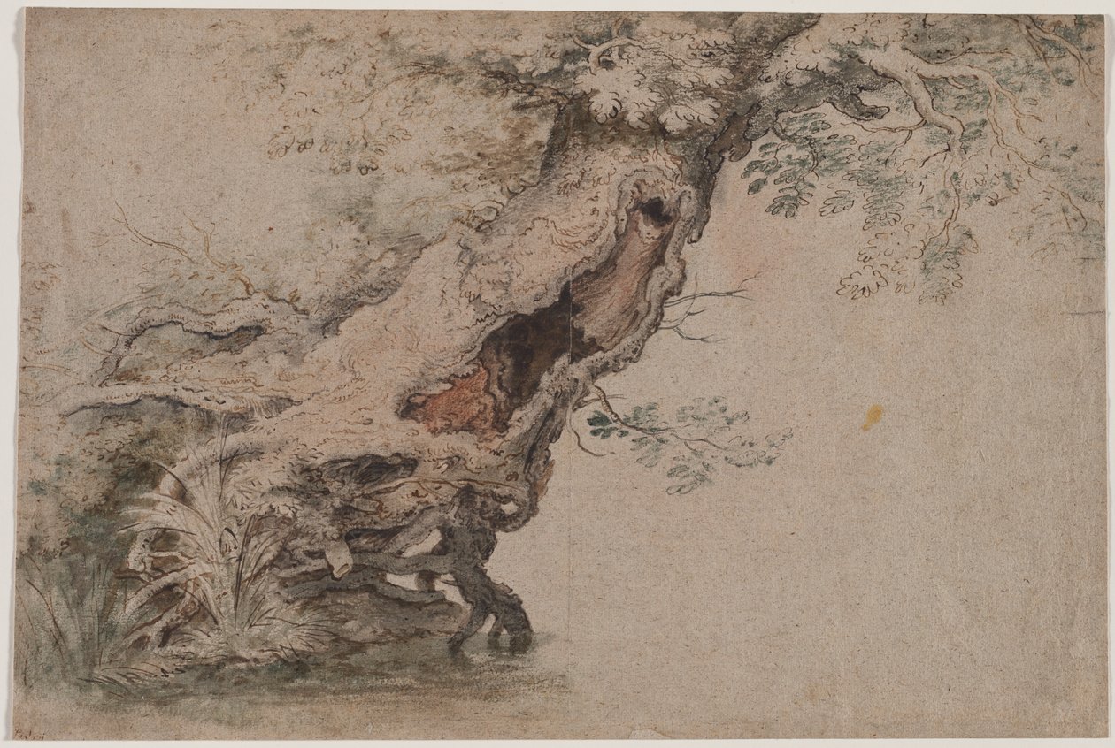 Árbol Hueco, después de Roelant Savery de Lambert Doomer