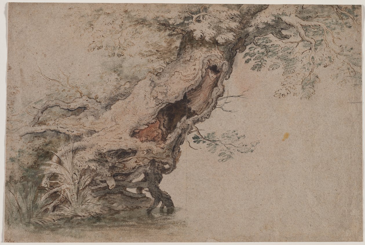 Árbol hueco, después de Roelant Savery, después de 1670 de Lambert Doomer