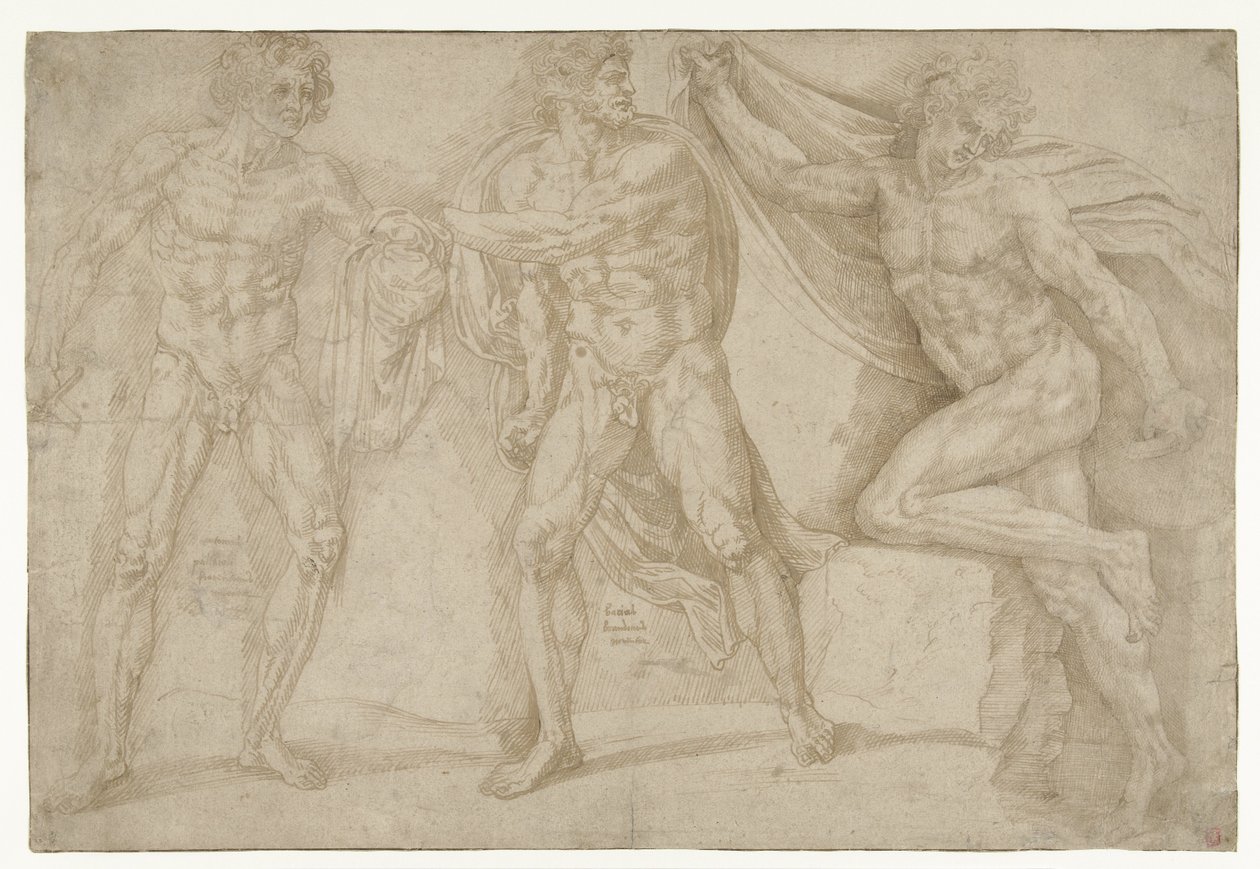 Tres hombres desnudos en diferentes poses de Lambert Lombard