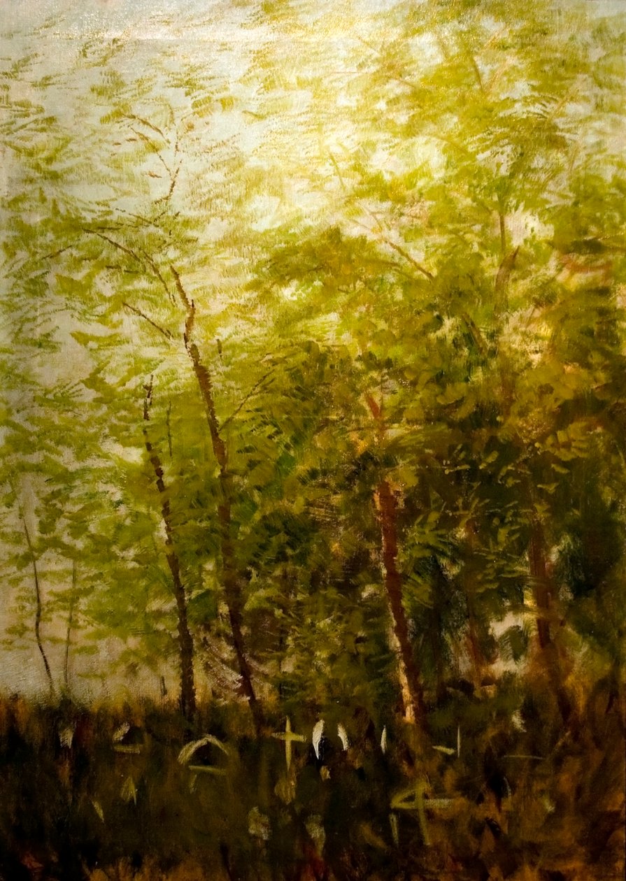 Franja del bosque con cruces de Laszlo Mednyanszky