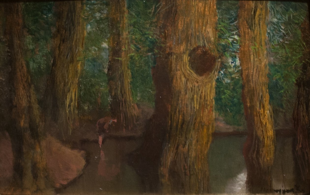 Dentro del bosque de Laszlo Mednyanszky