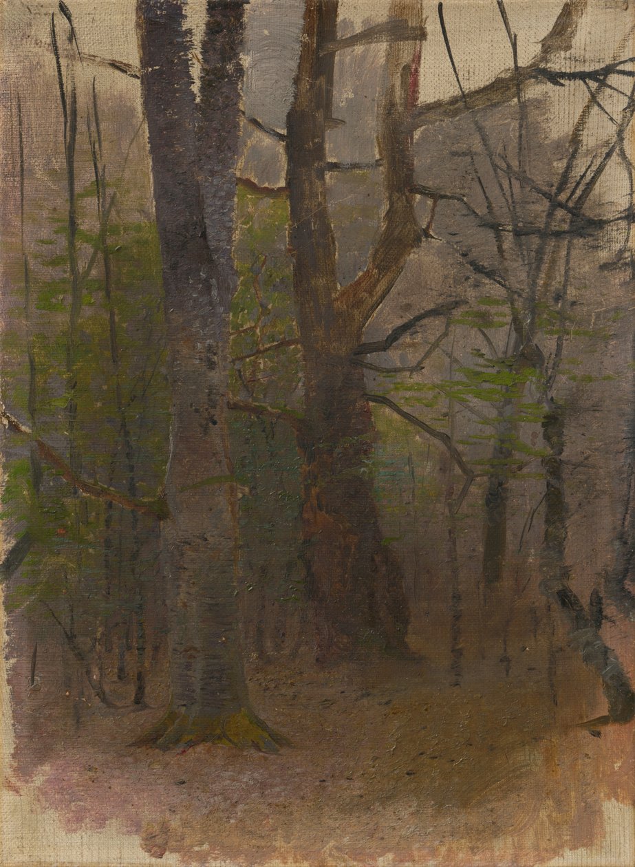 Primavera temprana. Bosque de Laszlo Mednyanszky