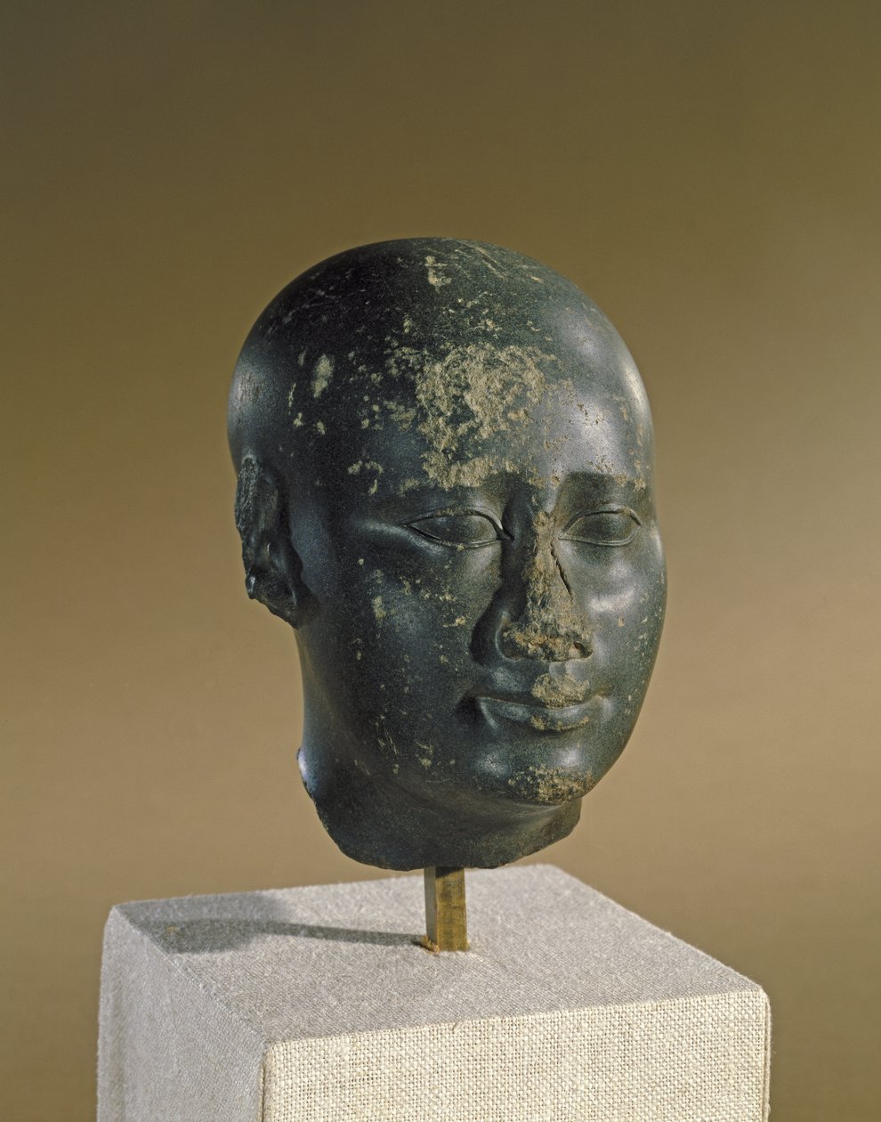 Cabeza de un hombre con cráneo ovoide de Late Period Egyptian