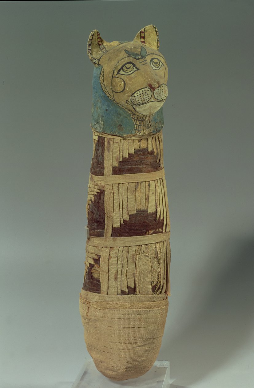 Gato momificado de Late Period Egyptian