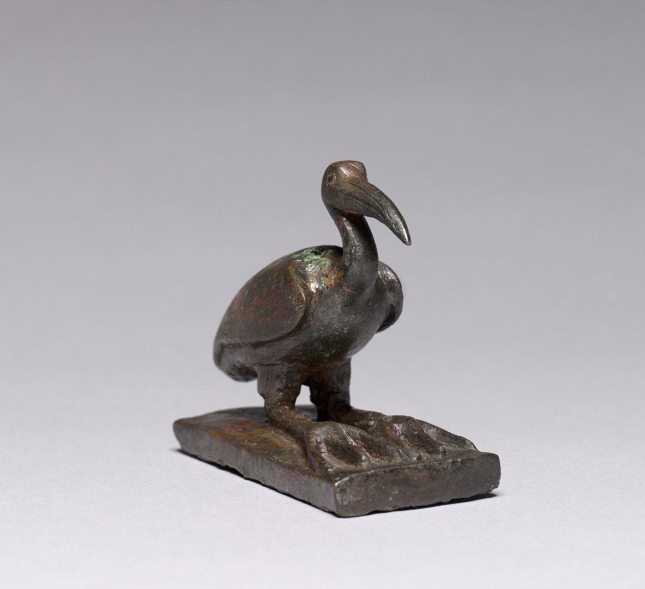 Ibis, 664-30 a.C. de Late Period Egyptian