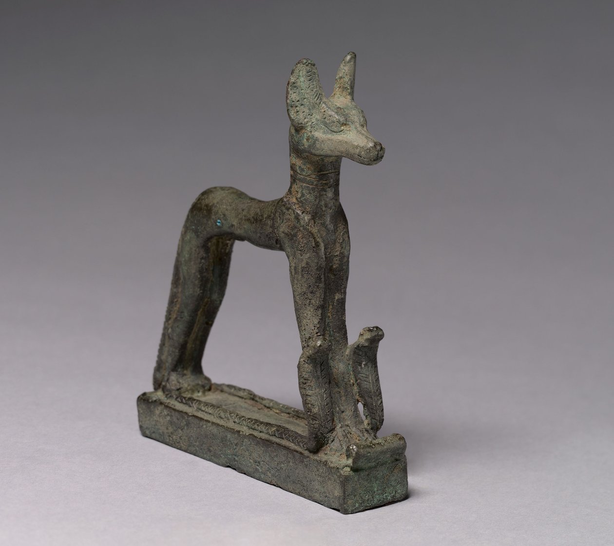 Chacal, 664-30 a.C. de Late Period Egyptian
