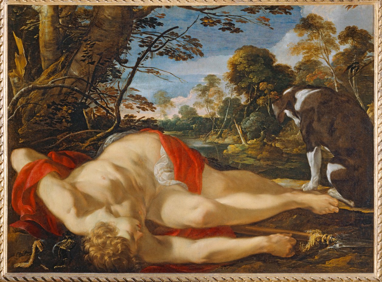 Adonis mort - Muerte de Adonis. Verso 1624-1628 ... de Laurent de (workshop of) La Hyre