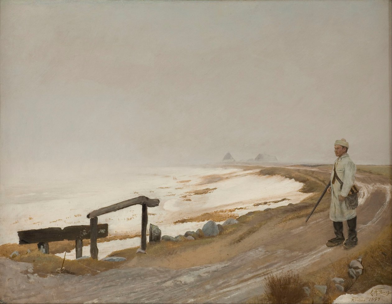 Día de invierno con niebla. Karrebæksminde de Laurits Andersen Ring