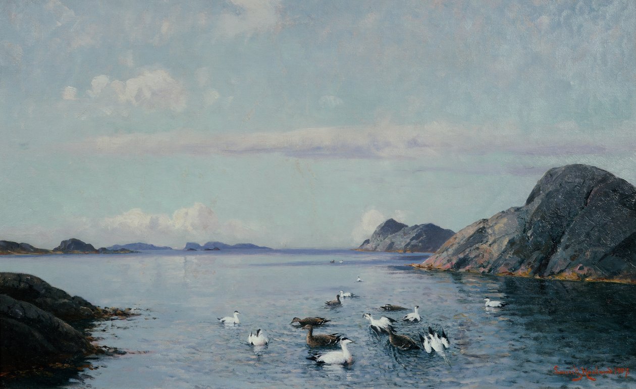 Costa sur con aves marinas de Lauritz Haaland