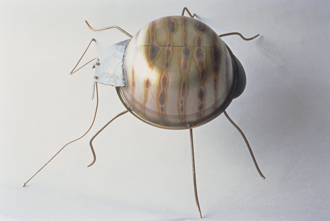 El escarabajo terrestre, 1995 de Lawrie Simonson