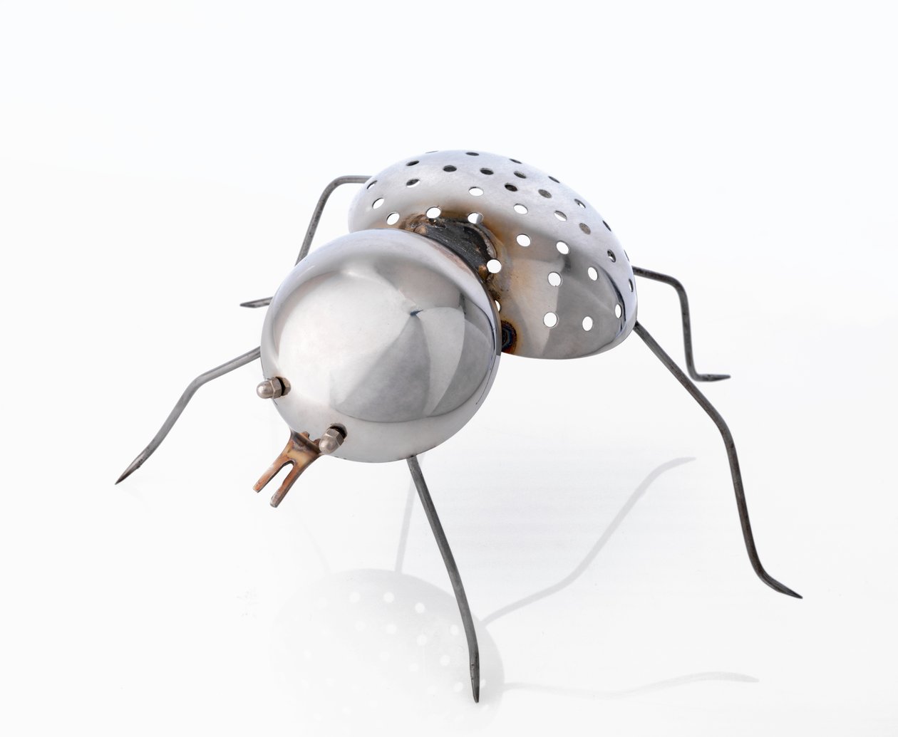 El insecto, 1996 de Lawrie Simonson