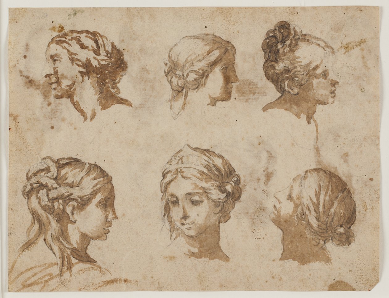 Seis estudios de cabezas femeninas de Lazzaro Baldi