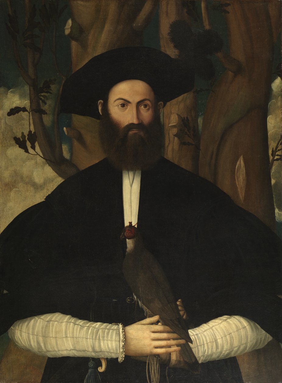 Hombre barbudo con un halcón, c.1500 de Lazzaro Bastiani