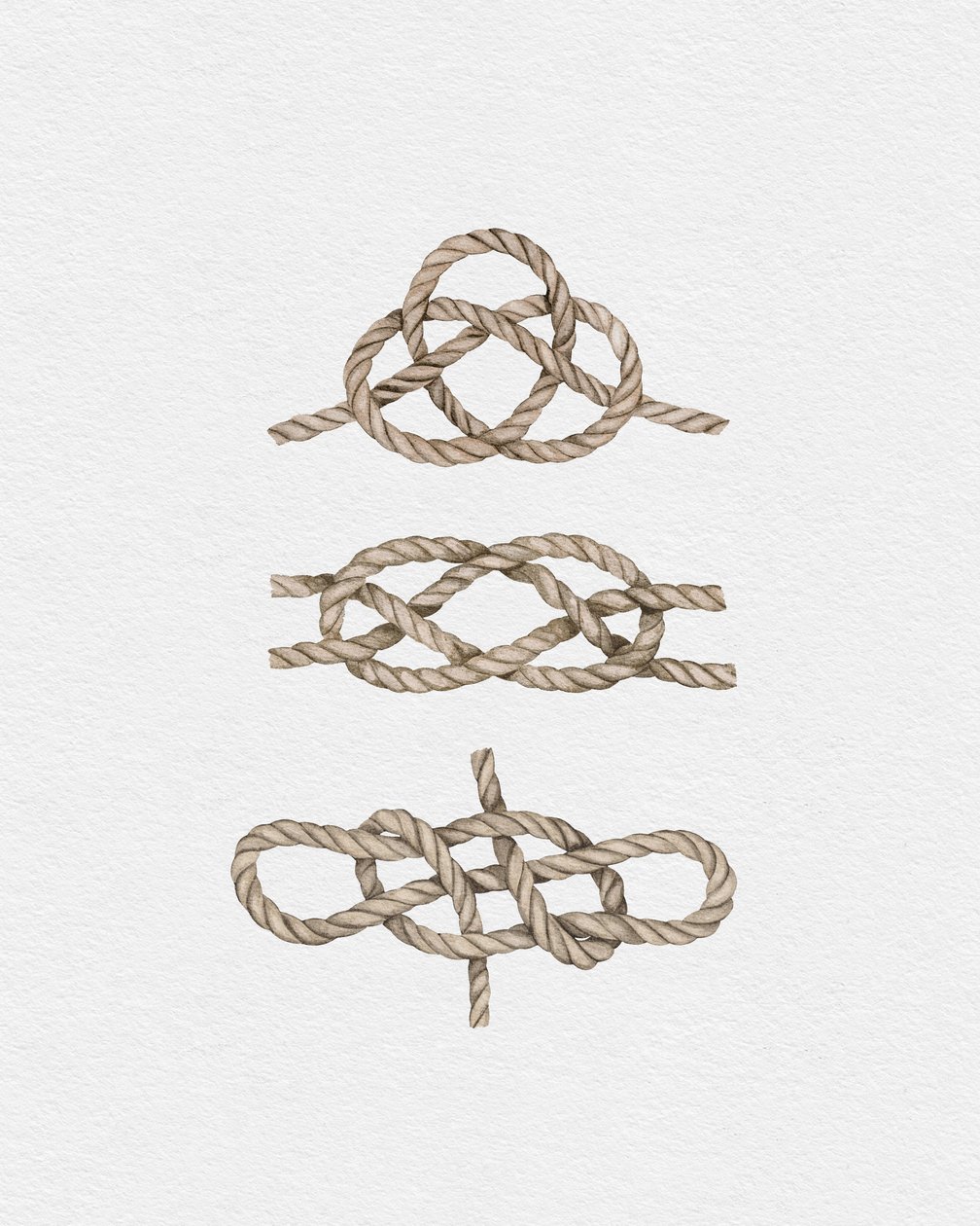 Nudos marineros, c.2019 (técnica mixta) de Leah Straatsma