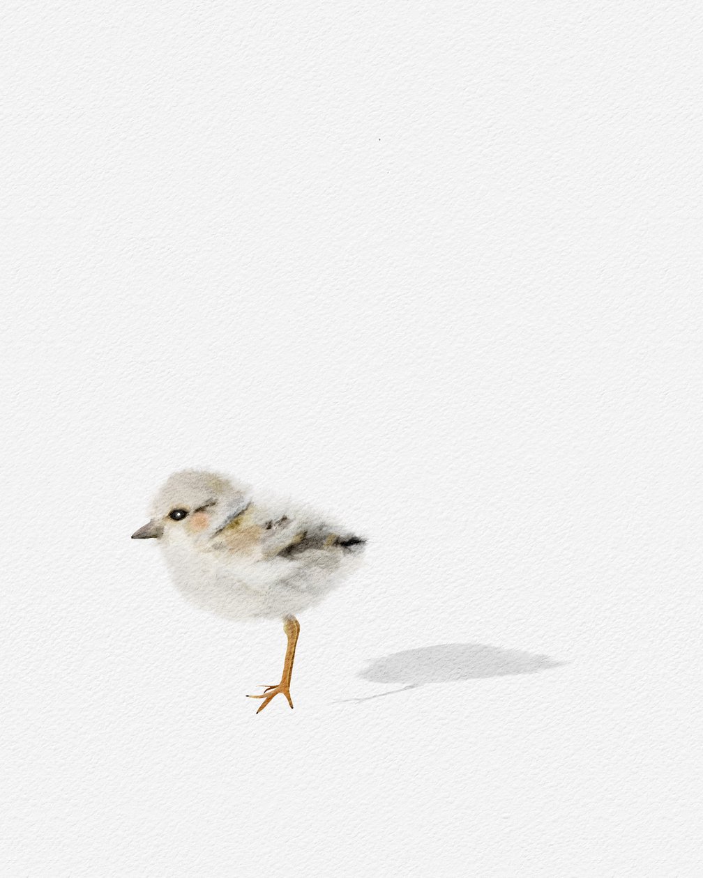 Ave playera, c.2021 (técnica mixta) de Leah Straatsma