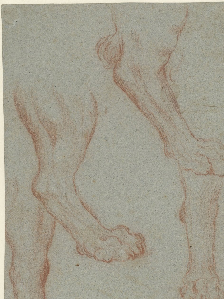 Hoja de estudio con dos patas de león de Leandro Bassano