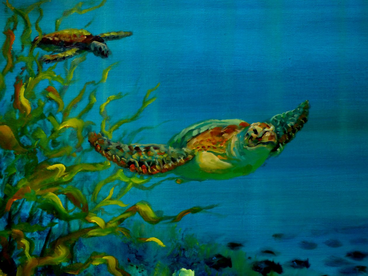 Tortuga Verde de Lee Campbell