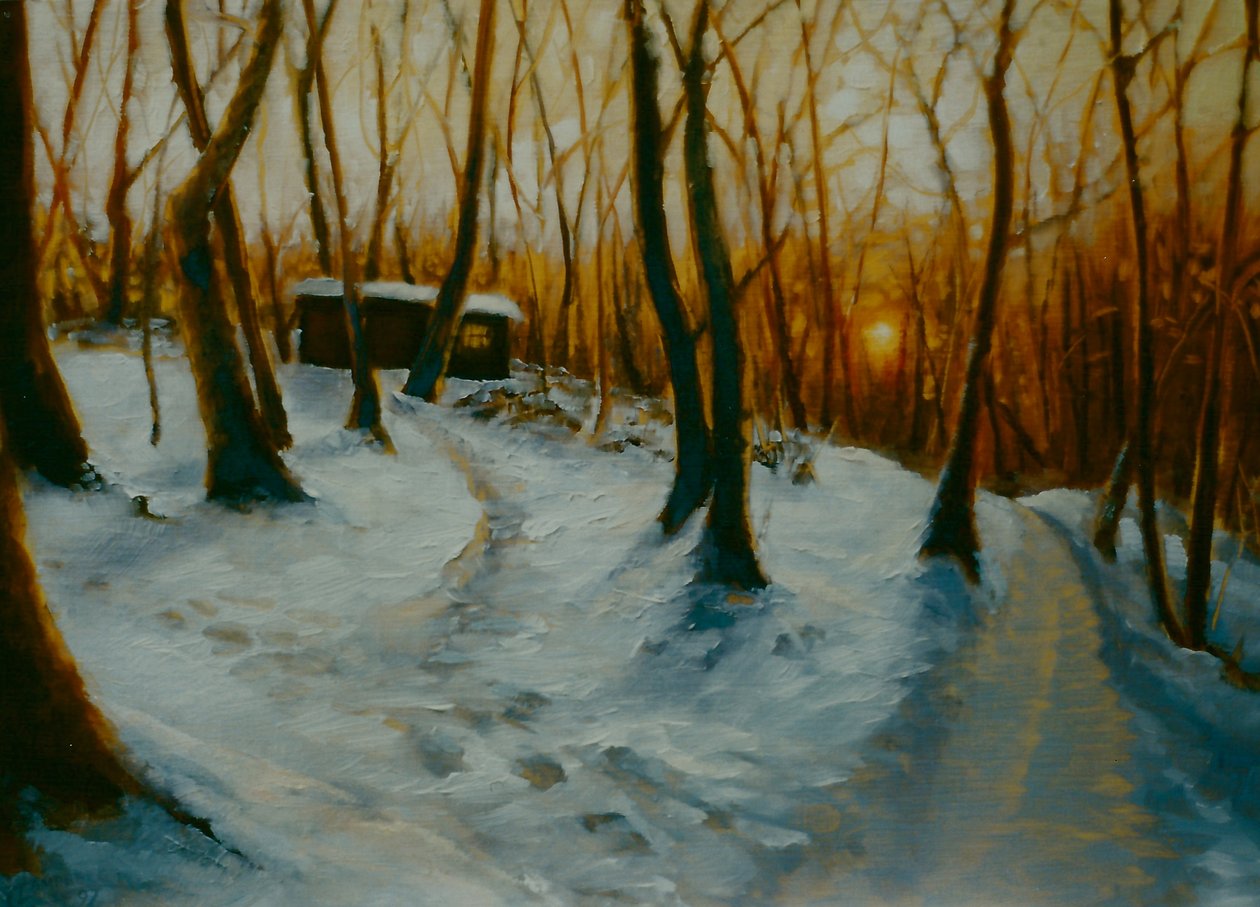 Bosques Nevados 2002 Atardecer de Lee Campbell