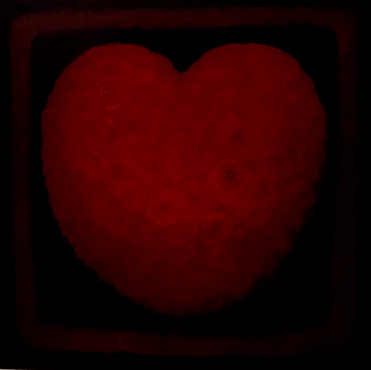 Gran Amor, 2021 de Lee Campbell