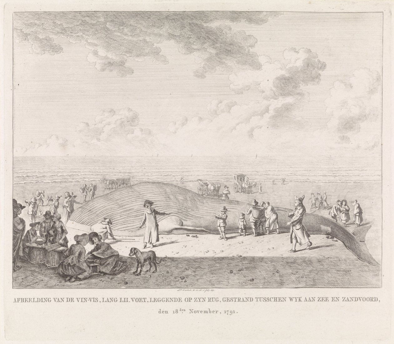 Rorcual común varado en la playa de Zandvoort Imagen del Vin-Vis (...) varado entre Wyk aan Zee y Zandvoord, 18 de noviembre de 1791 (título sobre objeto) de Leendert Overbeek