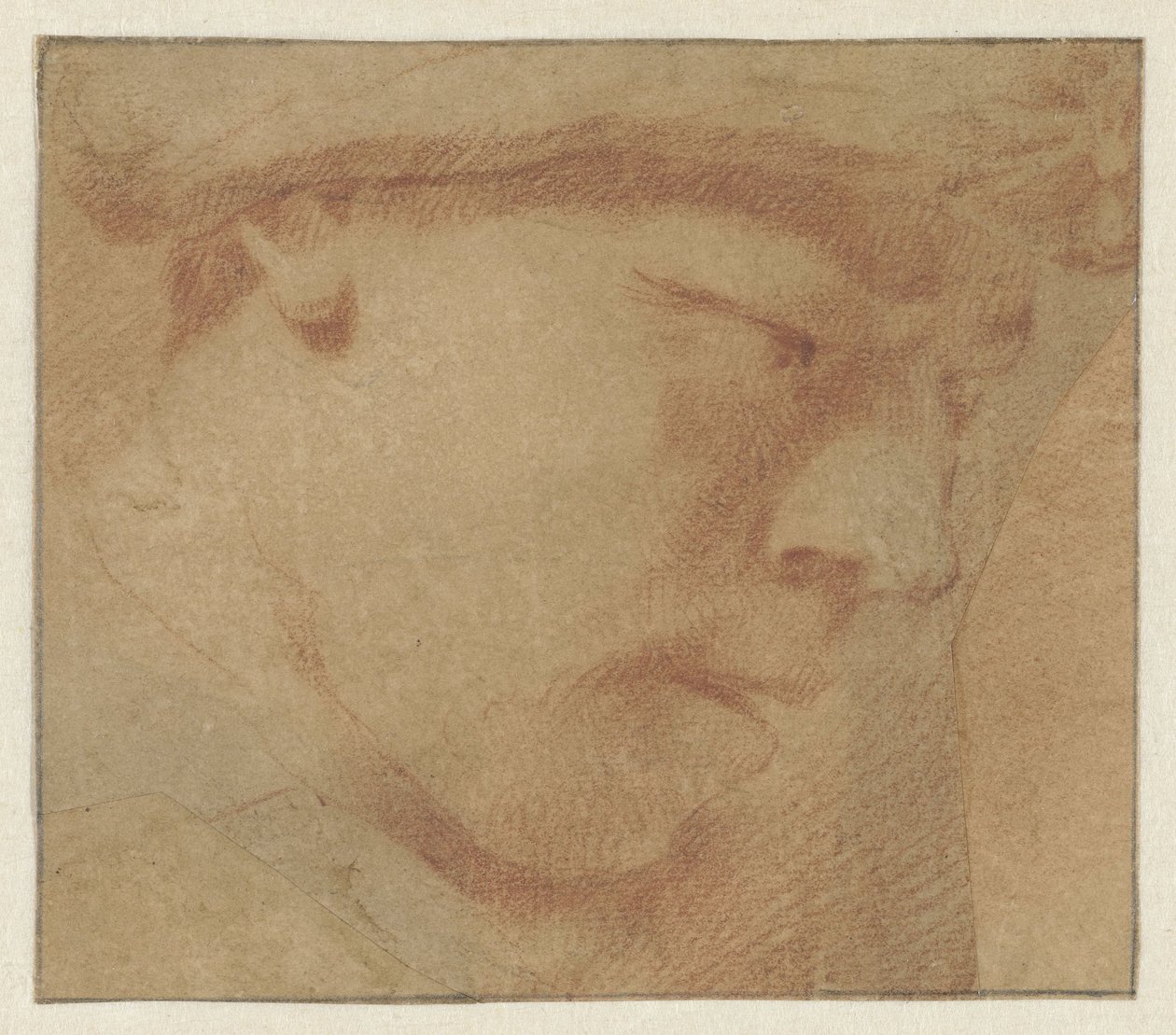 Cabeza de un niño, a la derecha de Leendert van der Cooghen (manner of)