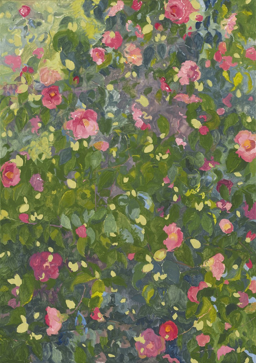 Camellia en flor, 2014 de Leigh Glover