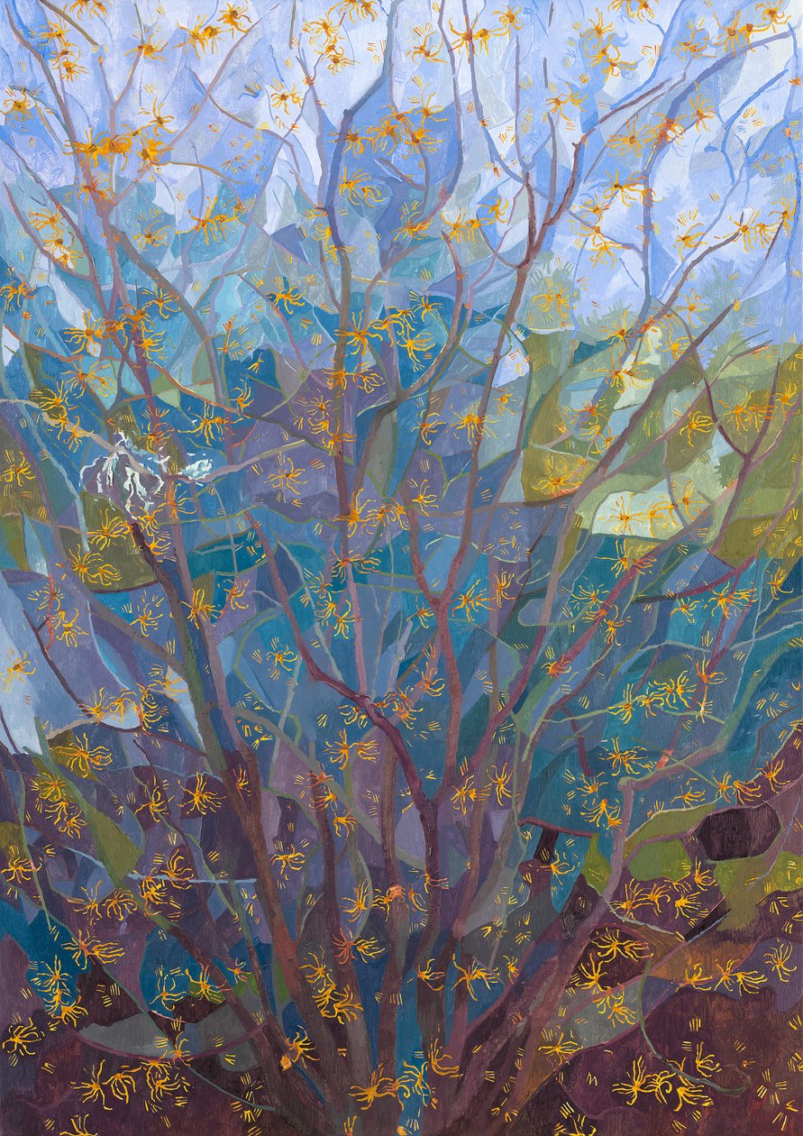 Avellano de bruja en flor, 2015 de Leigh Glover