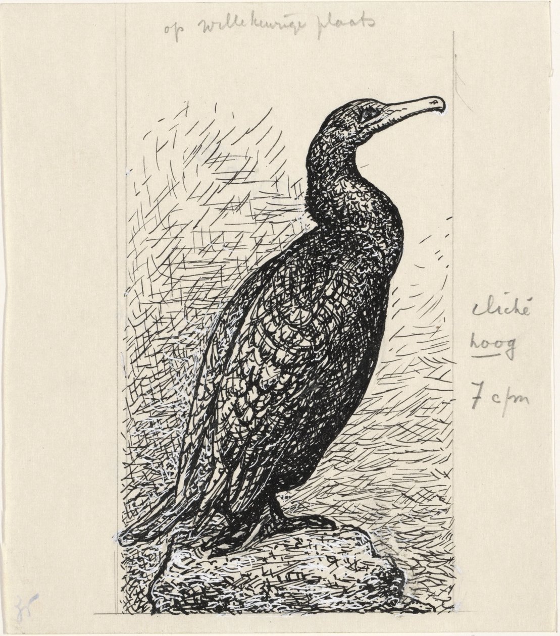 Cormorán de Leo Gestel
