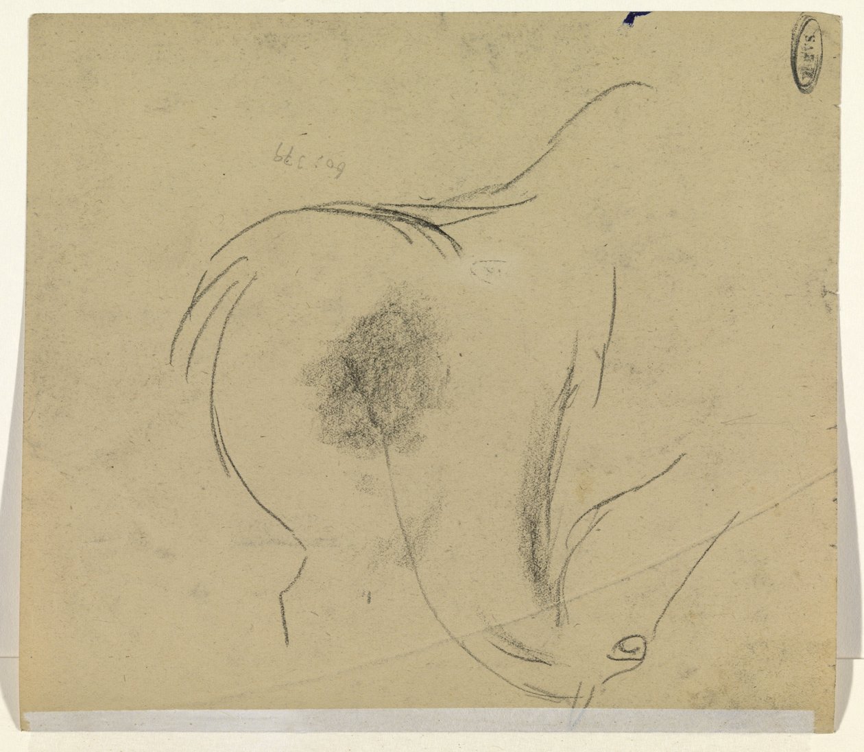 Cabeza de caballo de Leo Gestel