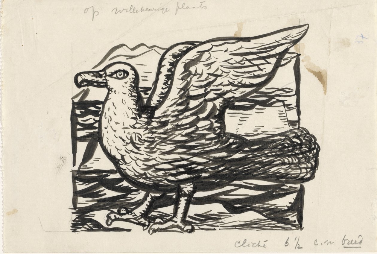 Gaviota de Leo Gestel