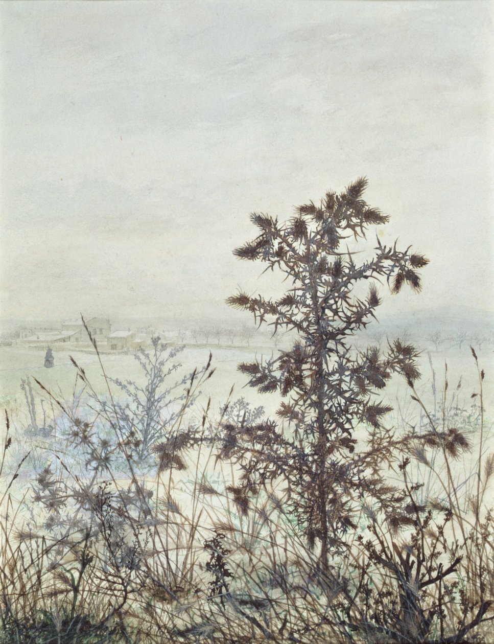 Cardos y malezas, 1864 de Léon Bonvin