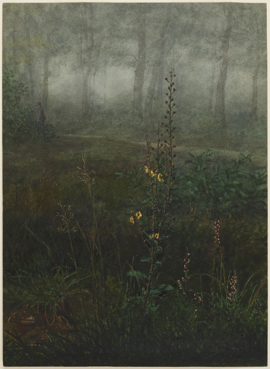 Gordolobo gris en el sotobosque de Léon Bonvin