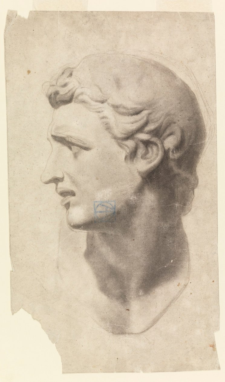 Dibujo, Estudio de una cabeza masculina clásica (a partir de un molde de escayola), 1881-92 de Leon Dabo