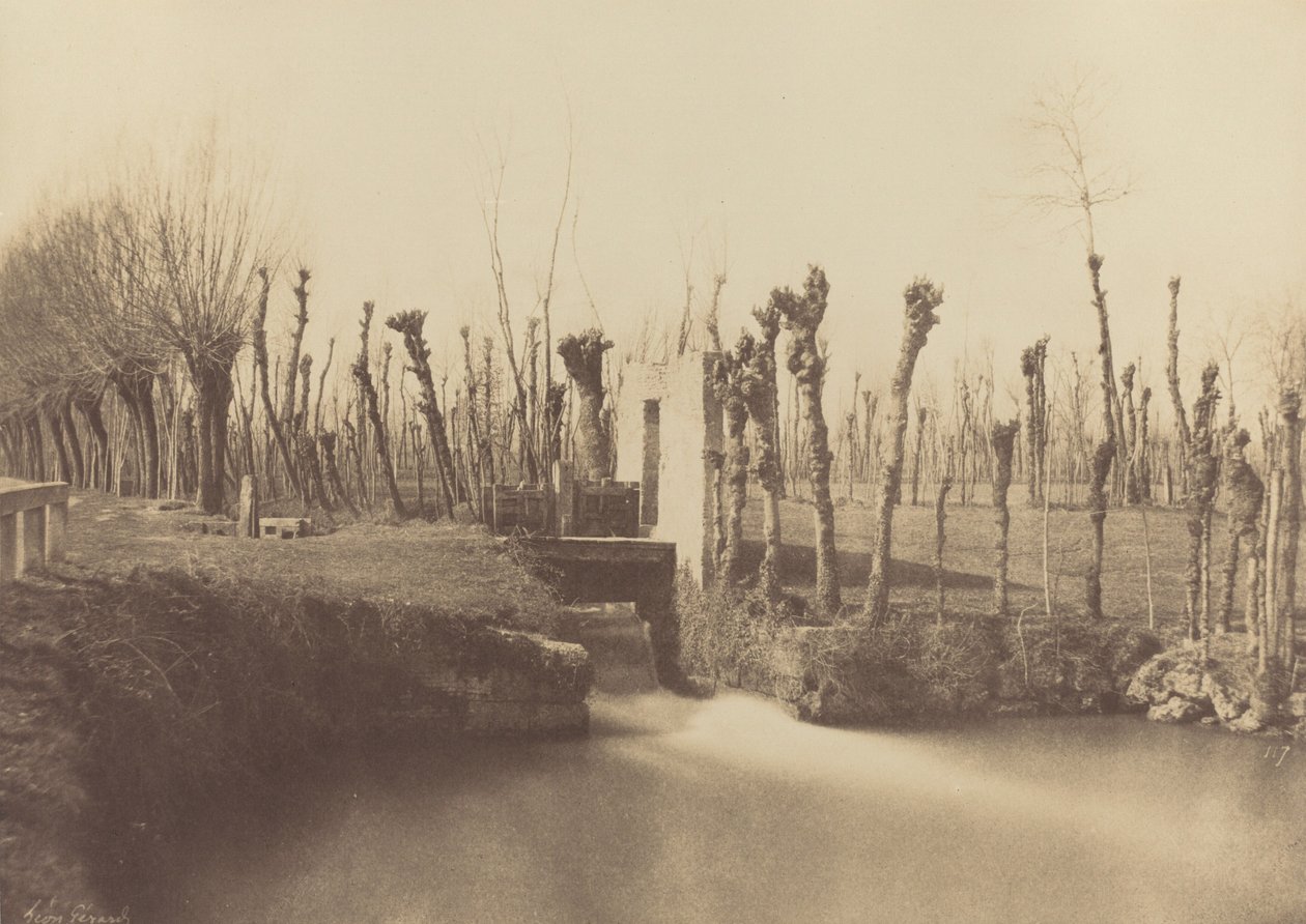 Paisaje, Montebello,c. 1860 (foto) de Léon Gérard
