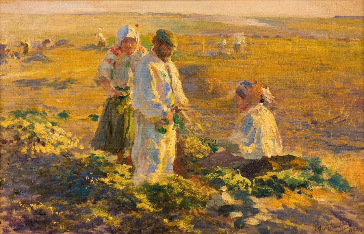 Remolacha de Leon Wyczolkowski