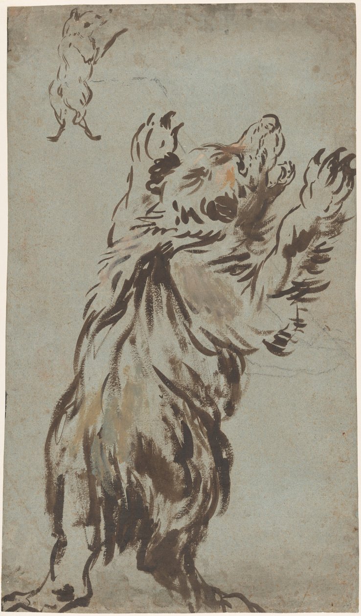 Estudios de un Oso de Leonard Bramer