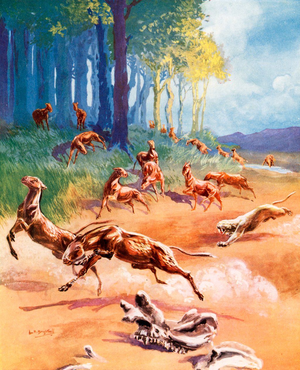  de Leonard Robert Brightwell