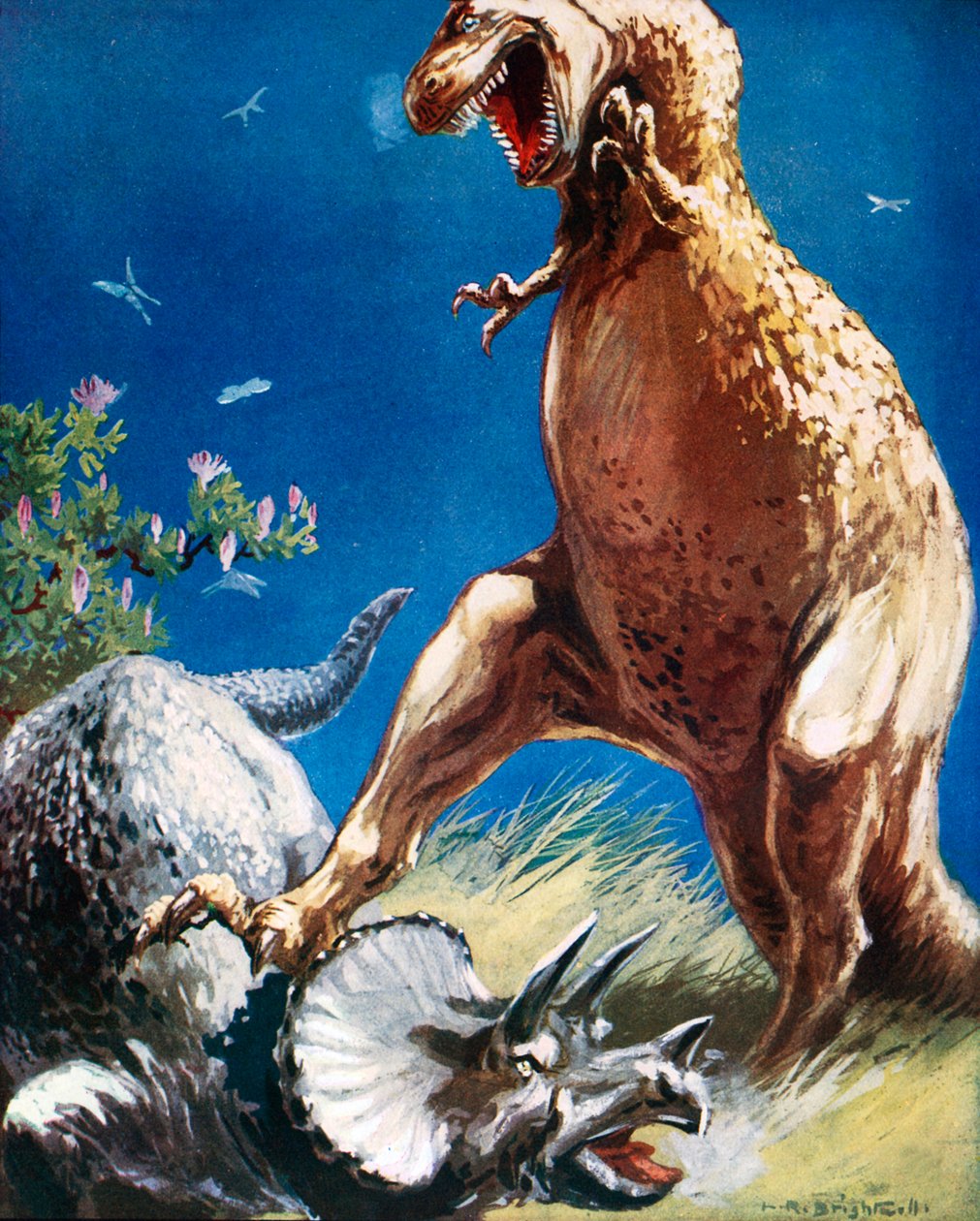  de Leonard Robert Brightwell