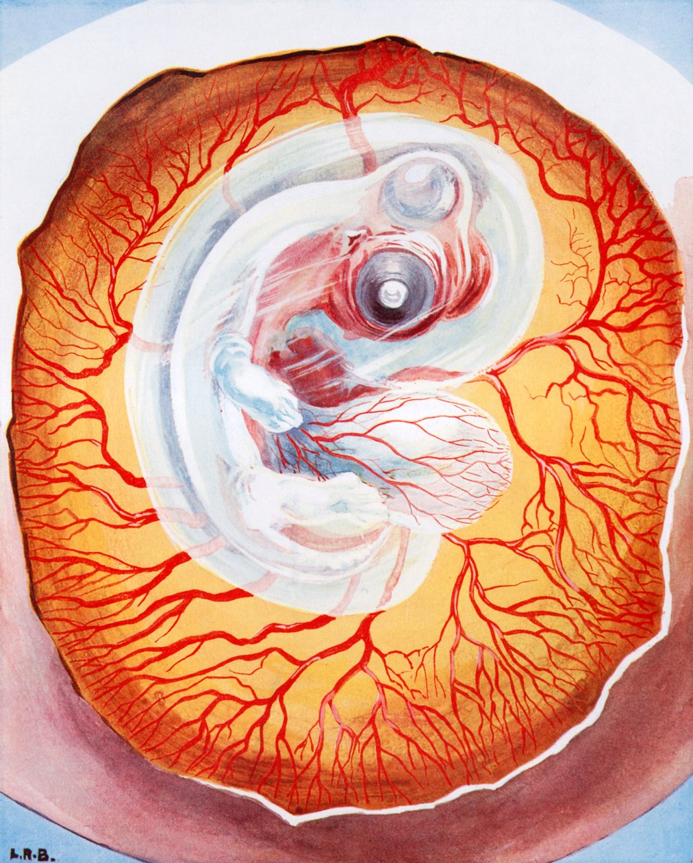  de Leonard Robert Brightwell