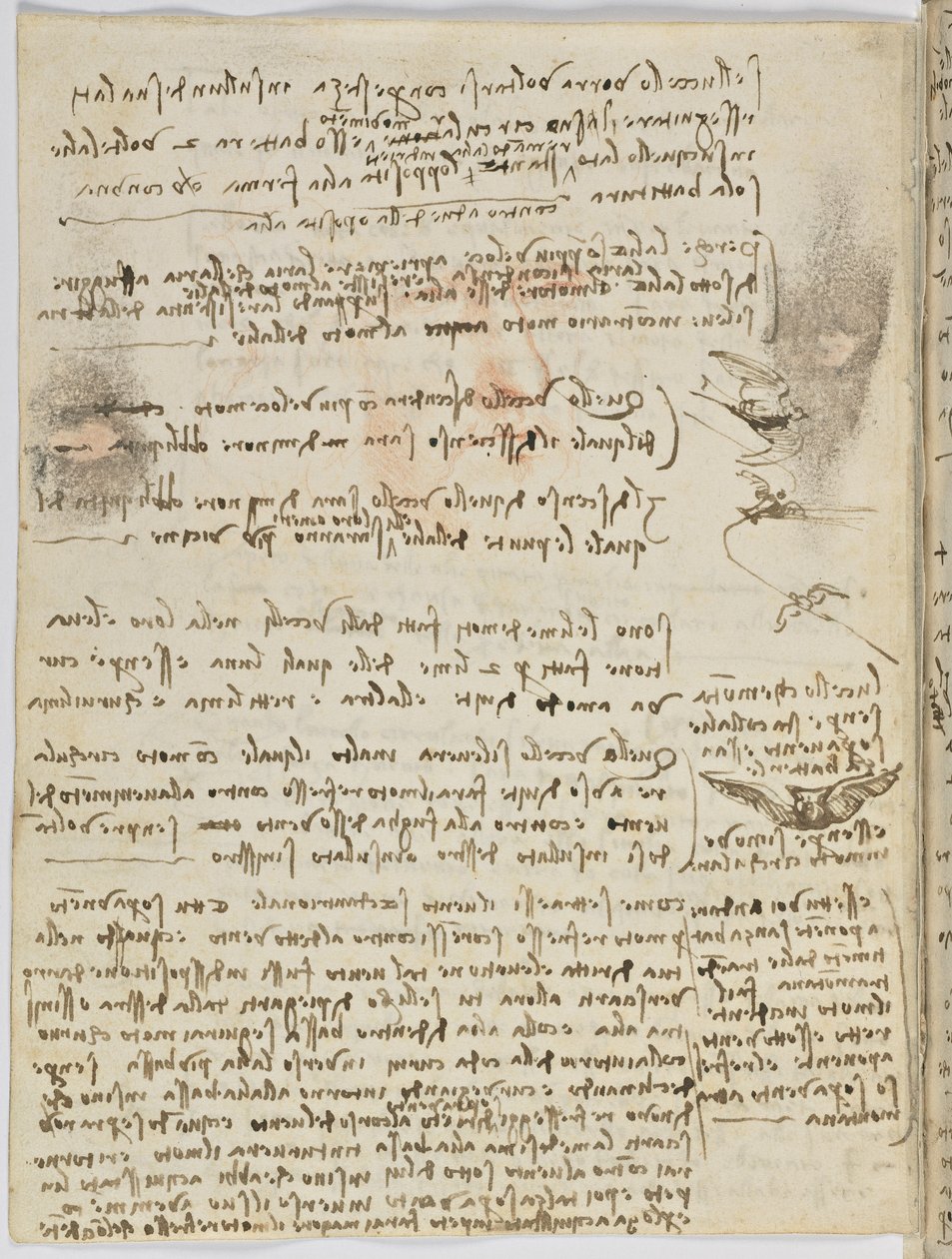 Código sobre el vuelo de los pájaros, c. 1505-06, manuscrito en papel, cc. 18, hoja 10 verso de Leonardo da Vinci