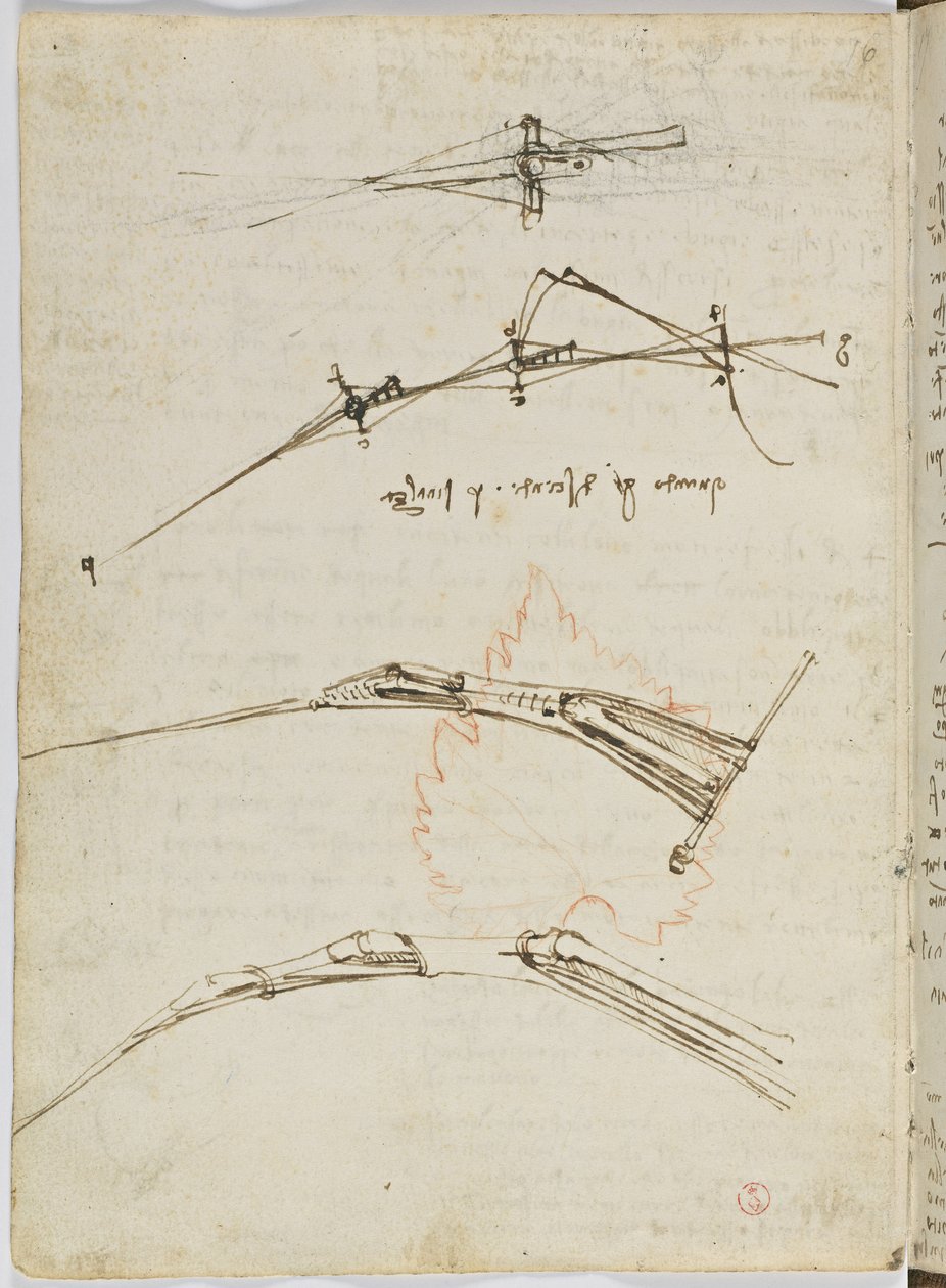 Código sobre el vuelo de los pájaros, c. 1505-06, manuscrito en papel, cc. 18, hoja 11 verso de Leonardo da Vinci