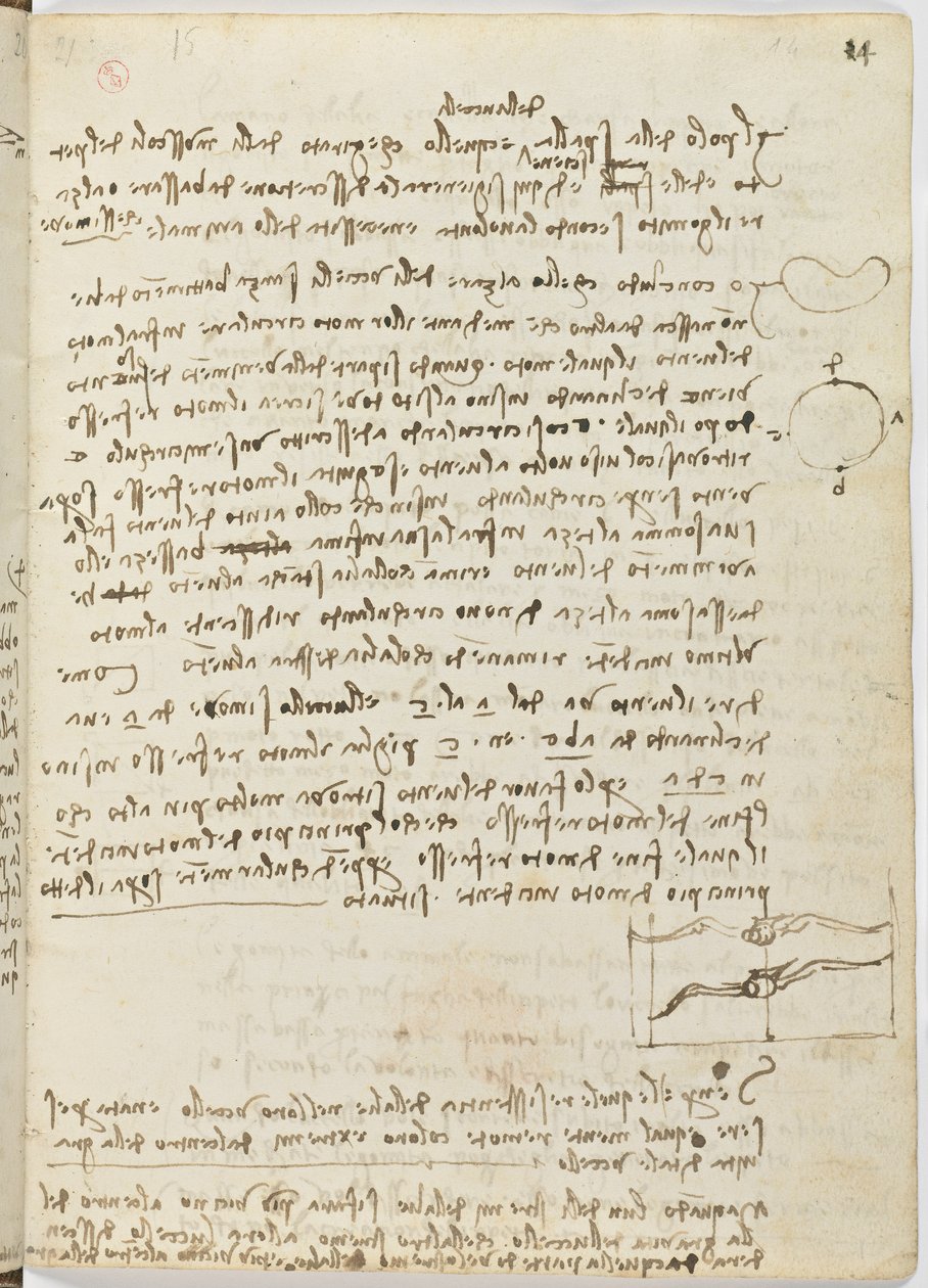 Código sobre el vuelo de los pájaros, c. 1505-06, manuscrito en papel, cc. 18, hoja 14 recto de Leonardo da Vinci