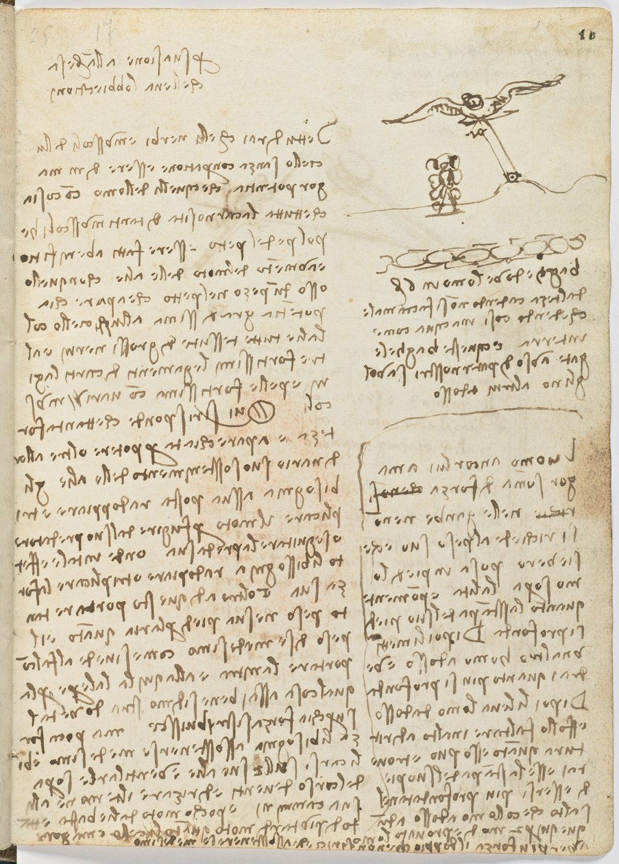 Código sobre el vuelo de los pájaros, c. 1505-06, manuscrito en papel, cc. 18, hoja 16 recto de Leonardo da Vinci