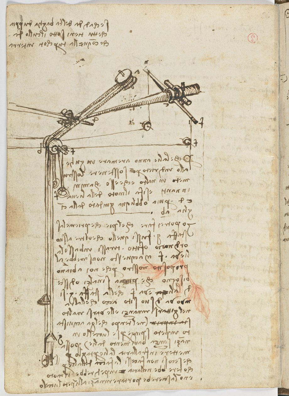 Código sobre el vuelo de los pájaros, c. 1505-06, manuscrito en papel, cc. 18, hoja 16 verso de Leonardo da Vinci